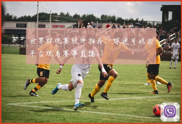 世界杯观赛软件推荐:球迷可这些平台观看赛事直播_1