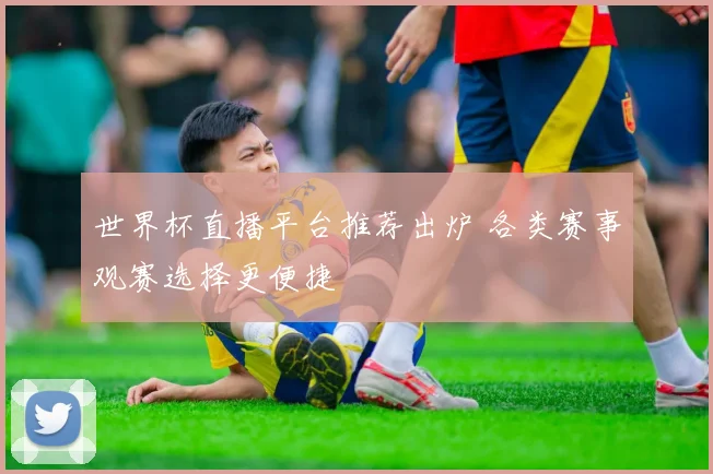 世界杯直播平台推荐出炉 各类赛事观赛选择更便捷