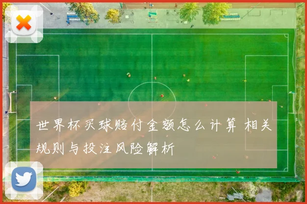 世界杯买球赔付金额怎么计算 相关规则与投注风险解析