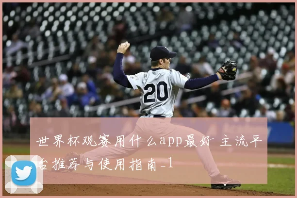 世界杯观赛用什么app最好 主流平台推荐与使用指南_1