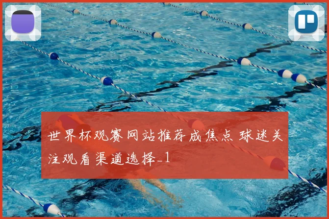 世界杯观赛网站推荐成焦点 球迷关注观看渠道选择_1