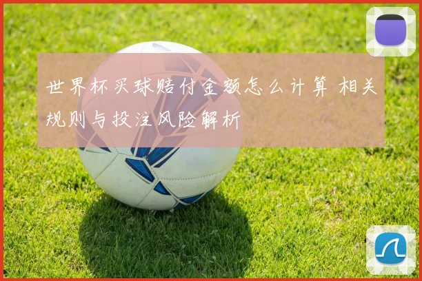 世界杯买球赔付金额怎么计算 相关规则与投注风险解析